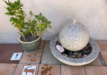 waterfeature8