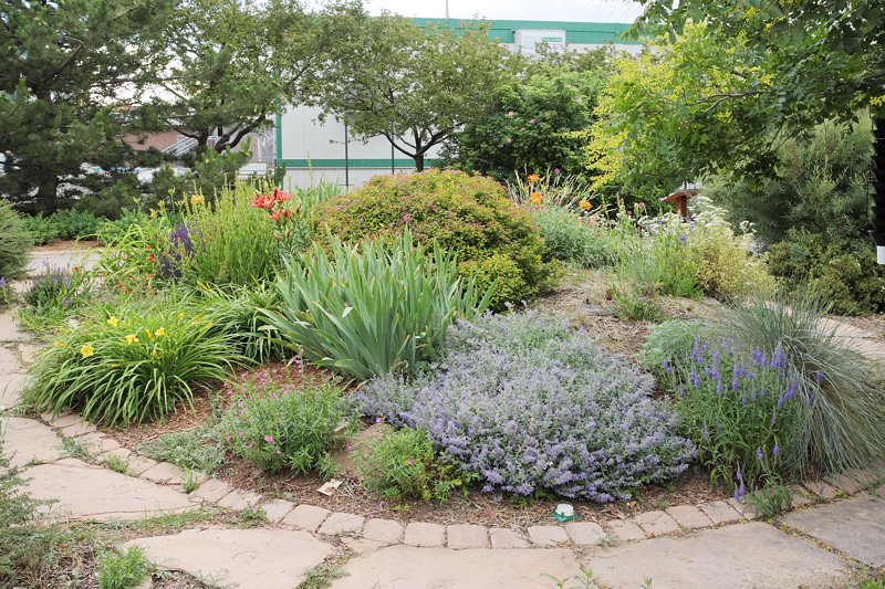Perennial Garden