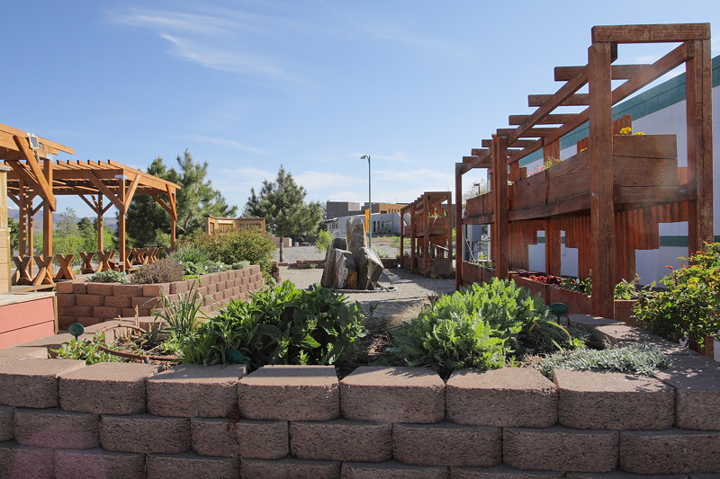 Sensory Garden